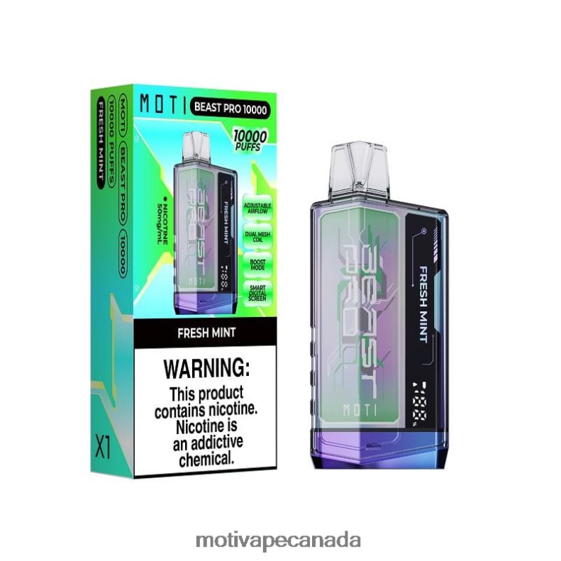 Fresh Mint