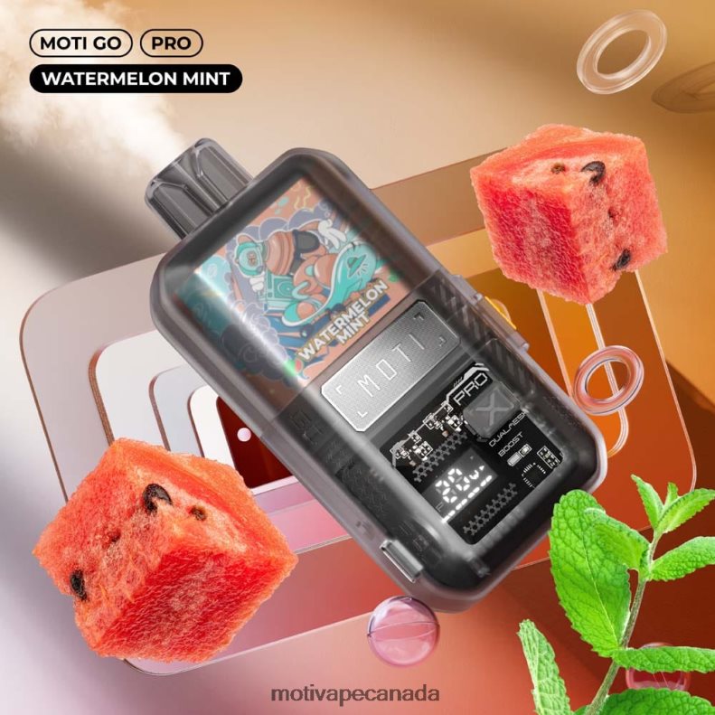 MOTI Go Pro Disposable Vape (5%, 12000 Puffs) Watermelon Bubblegum X2PXBV23 - MOTI Vape Price