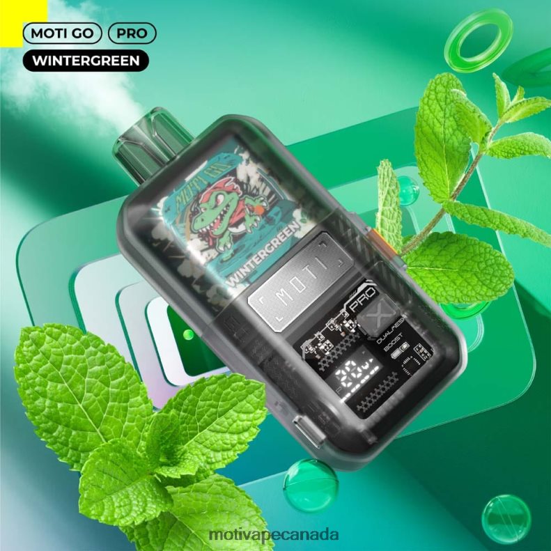 MOTI Go Pro Disposable Vape (5%, 12000 Puffs) Watermelon Bubblegum X2PXBV23 - MOTI Vape Price