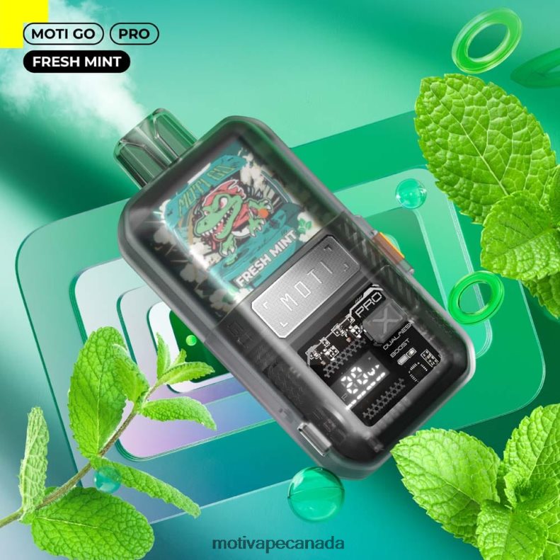 MOTI Go Pro Disposable Vape (5%, 12000 Puffs) Watermelon Mint X2PXBV25 - MOTI Vape Disposable Canada